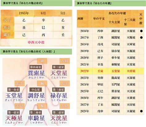 年運表|無料 算命学と気学の命式チェック 